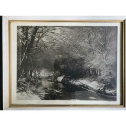 oude prent Louis Apol ca. 1910 in originele lijst