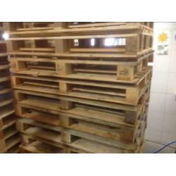 Pallets 80/120 cm