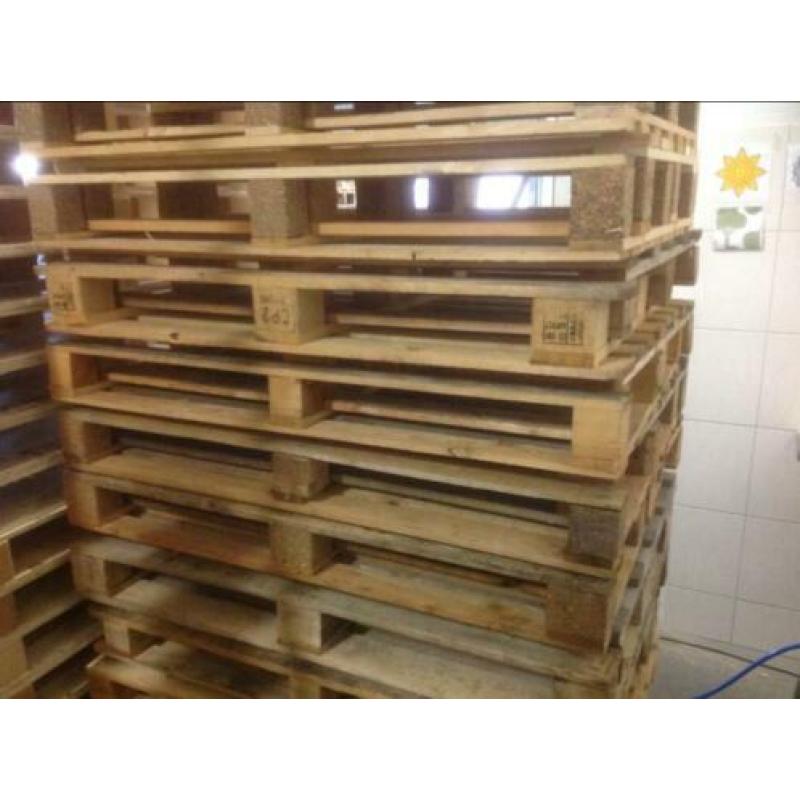 Pallets 80/120 cm