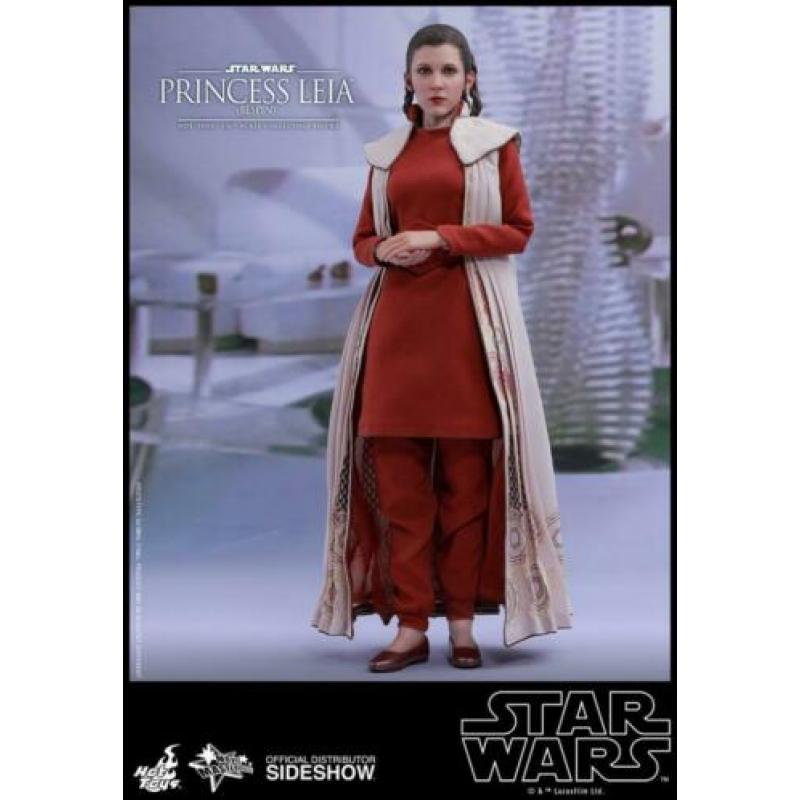 Hot Toys SW Episode V The Empire Strikes Back Princess Leia