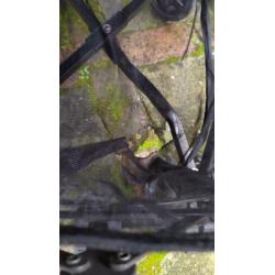 Koelstra Simba duo twin T3 buggy