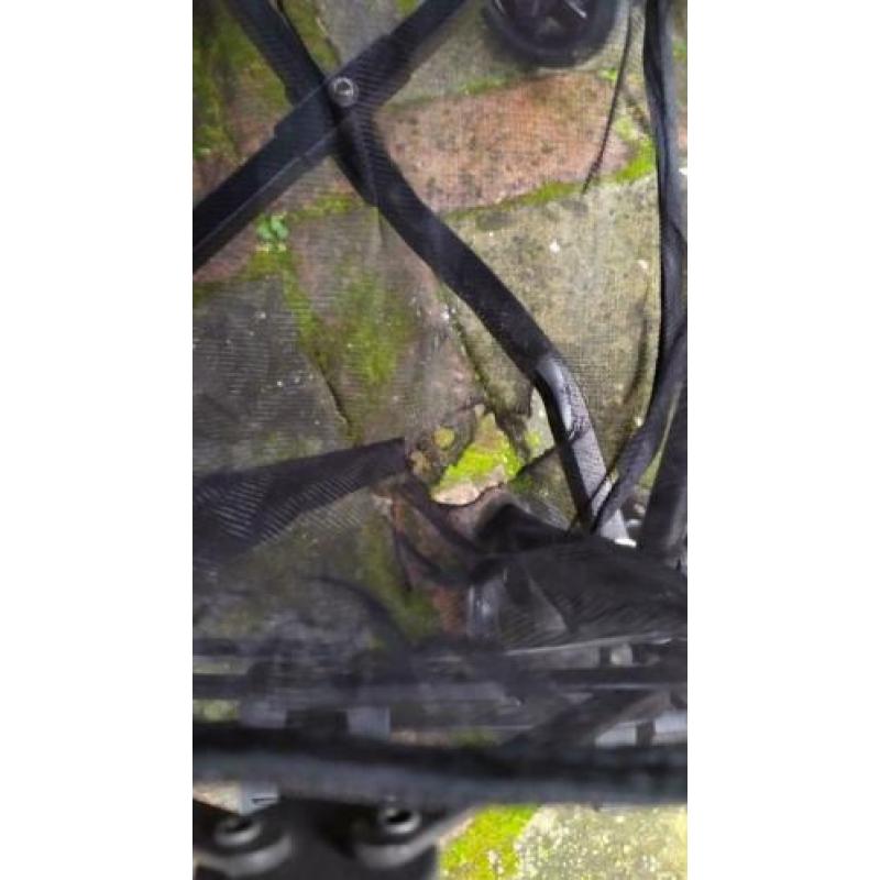 Koelstra Simba duo twin T3 buggy