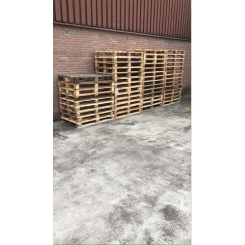 Pallets 80/120 cm