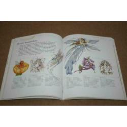 Boek - Elfen in aquarel !!