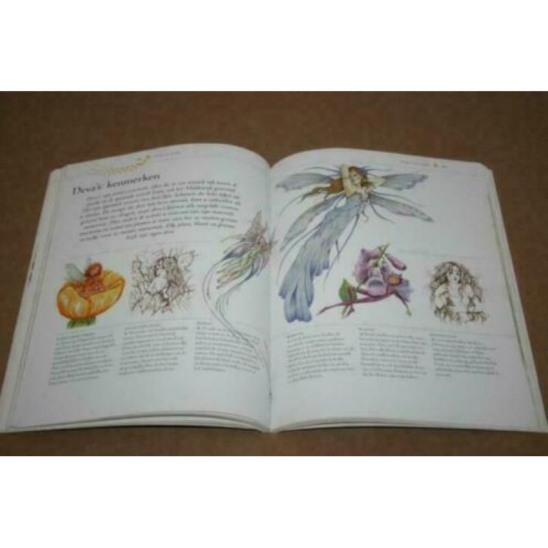 Boek - Elfen in aquarel !!