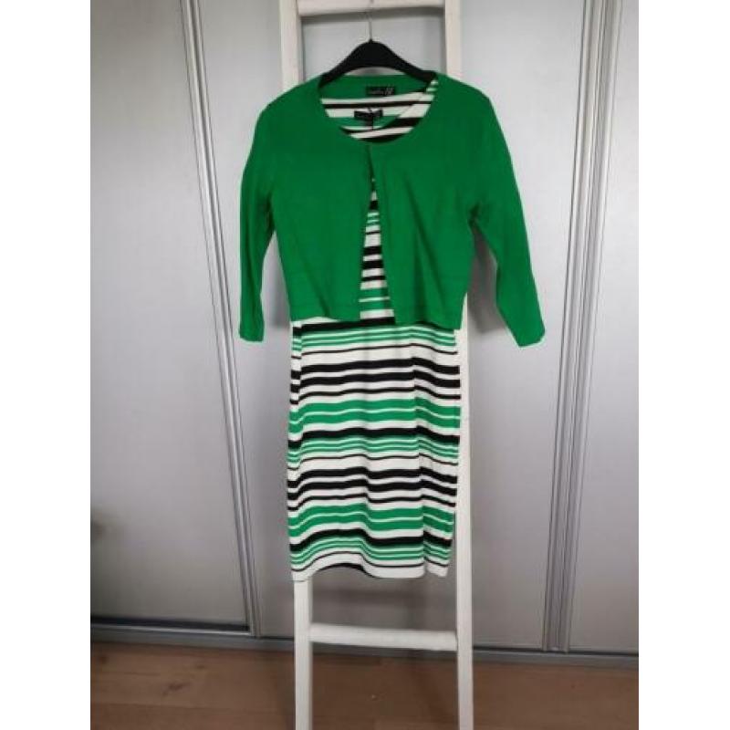 Smashed Lemon jurk streep groen