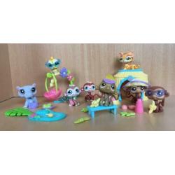 Littlest Pet Shop Jungle | LPS