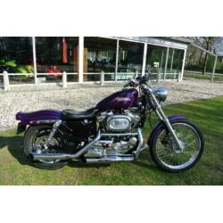 Harley-Davidson XL 1200 Custom