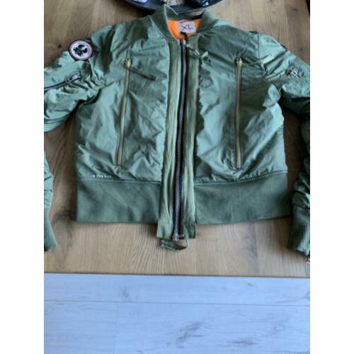 Canada goose