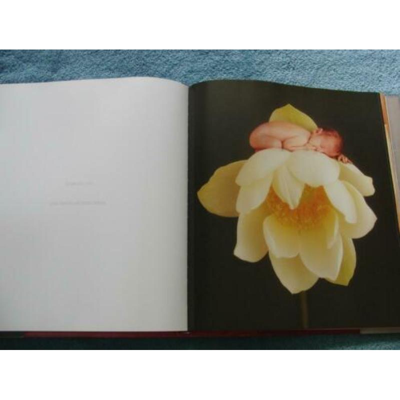 Anne Geddes - Celine Dion - Miracle - Het wonder van leven