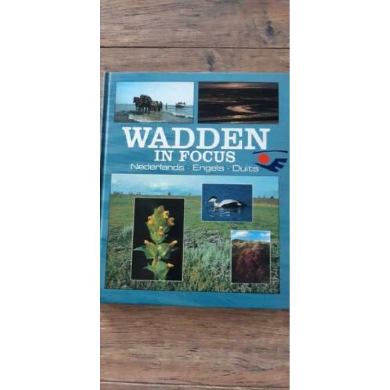 WADDEN IN FOCUS in Nederlands, Engels, Duits