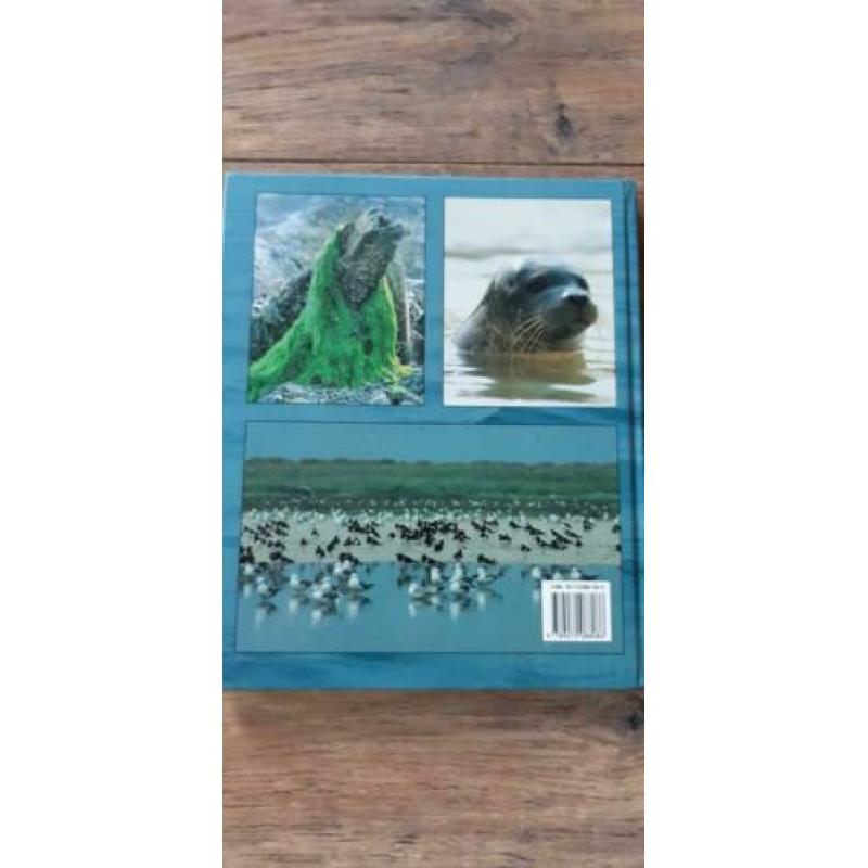WADDEN IN FOCUS in Nederlands, Engels, Duits