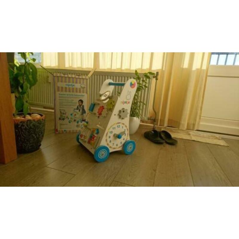 Nijntje Babywalker