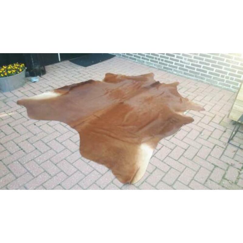 Koeienhuid groot! Nieuw! Cognac bruin koeienkleed koe huid