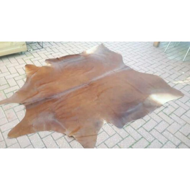 Koeienhuid groot! Nieuw! Cognac bruin koeienkleed koe huid