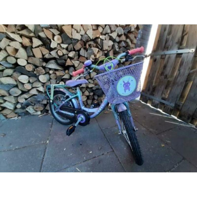 Batavus meisjesfiets 16 inch zgan