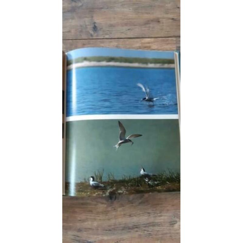WADDEN IN FOCUS in Nederlands, Engels, Duits