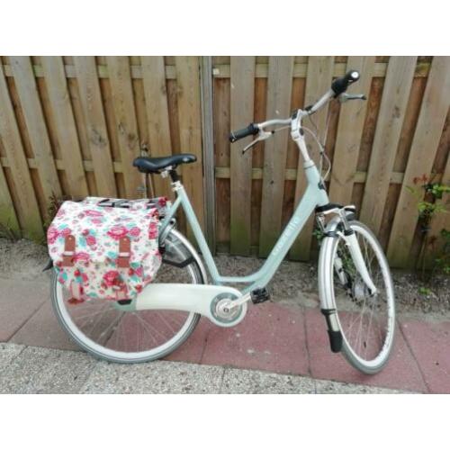 Gazelle Orange plus groen