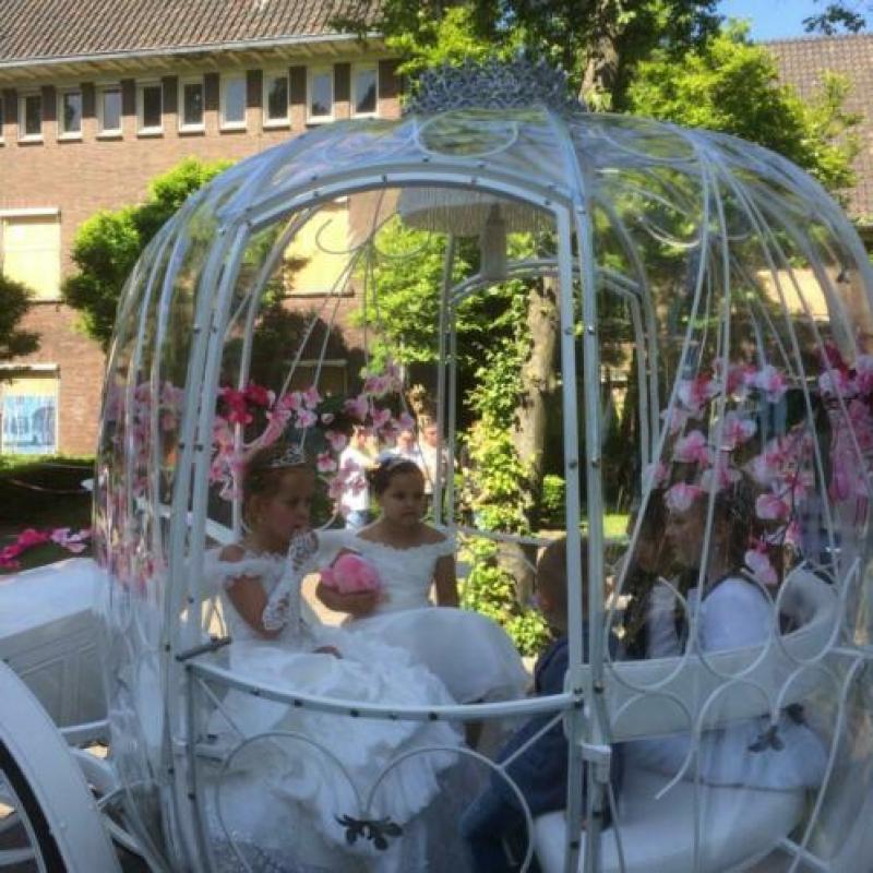trouwkoets koetsen huur assepoesterkoets gala glaslandauer