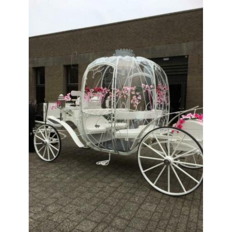 trouwkoets koetsen huur assepoesterkoets gala glaslandauer