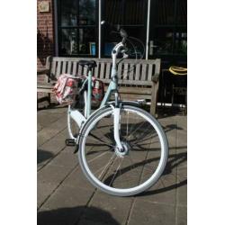 Gazelle Orange plus groen