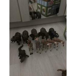 Grote verzameling schleich sleich dieren