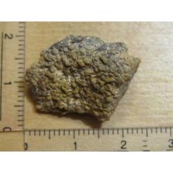 opruiming: 2x ruwe edelsteen DINOSAURUSBOT (1)