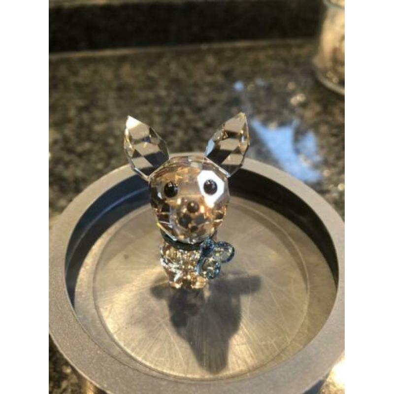 Swarovski Oscar de Chihuahua
