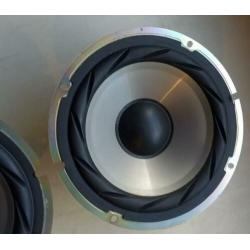Strakke wooferset van Sony