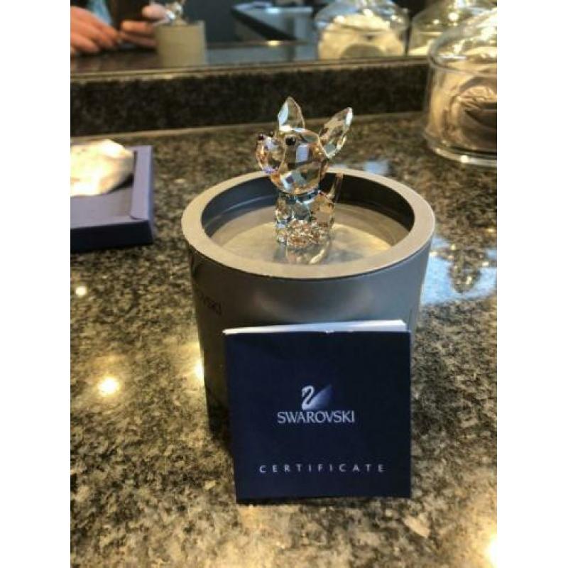 Swarovski Oscar de Chihuahua