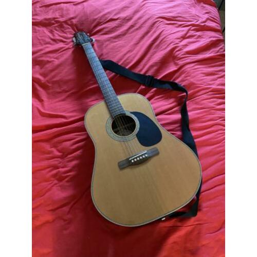 6-staalsnarige akoestische gitaar Greg Bennett