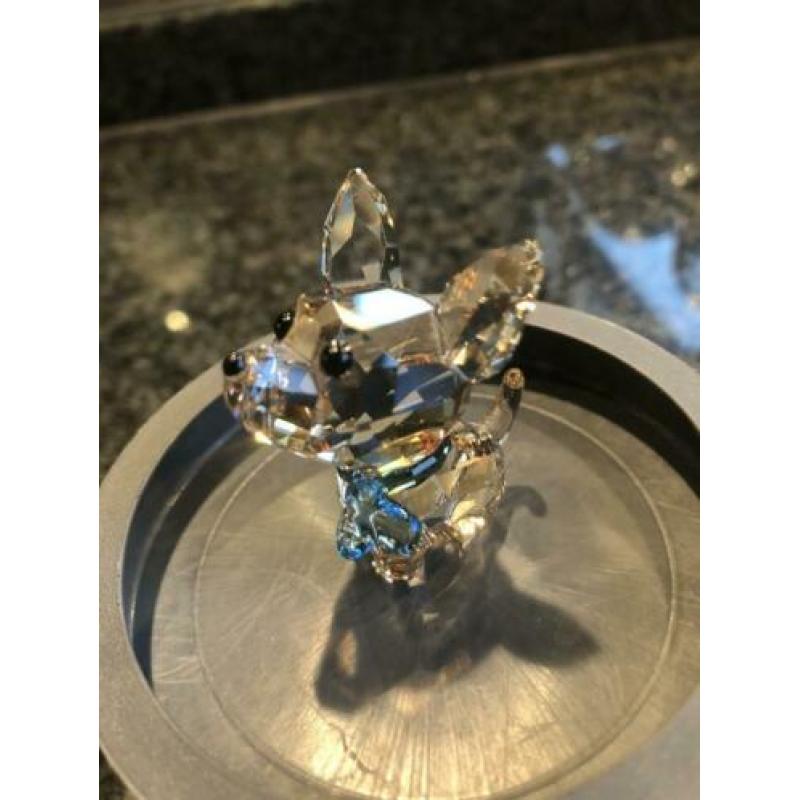 Swarovski Oscar de Chihuahua
