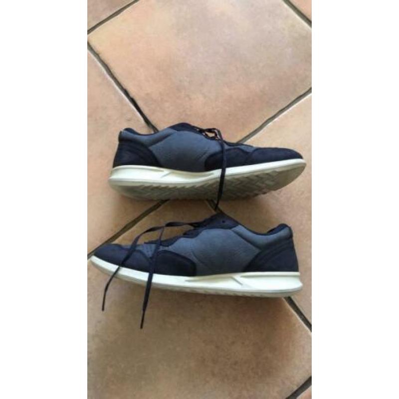 Ecco 40