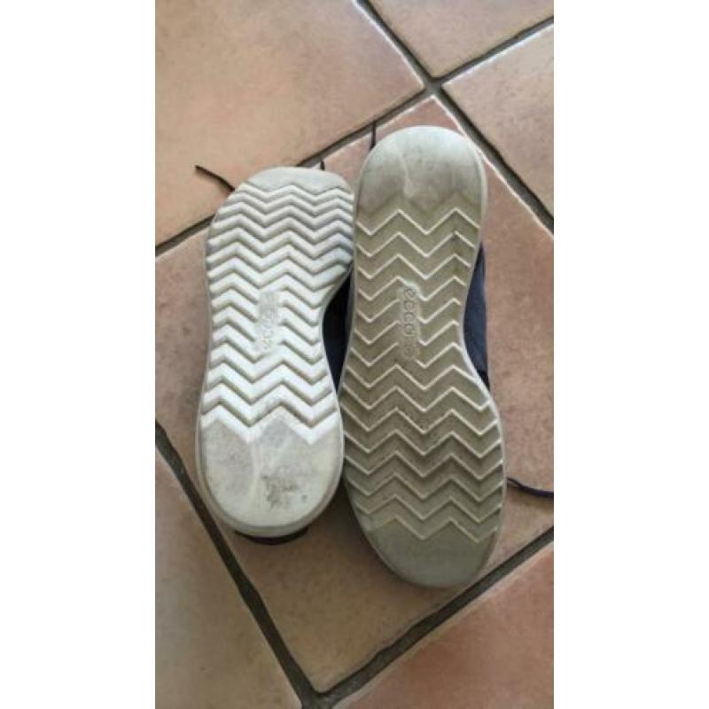 Ecco 40