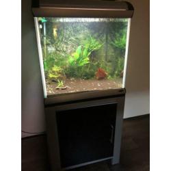 Aquarium ferplast star cube