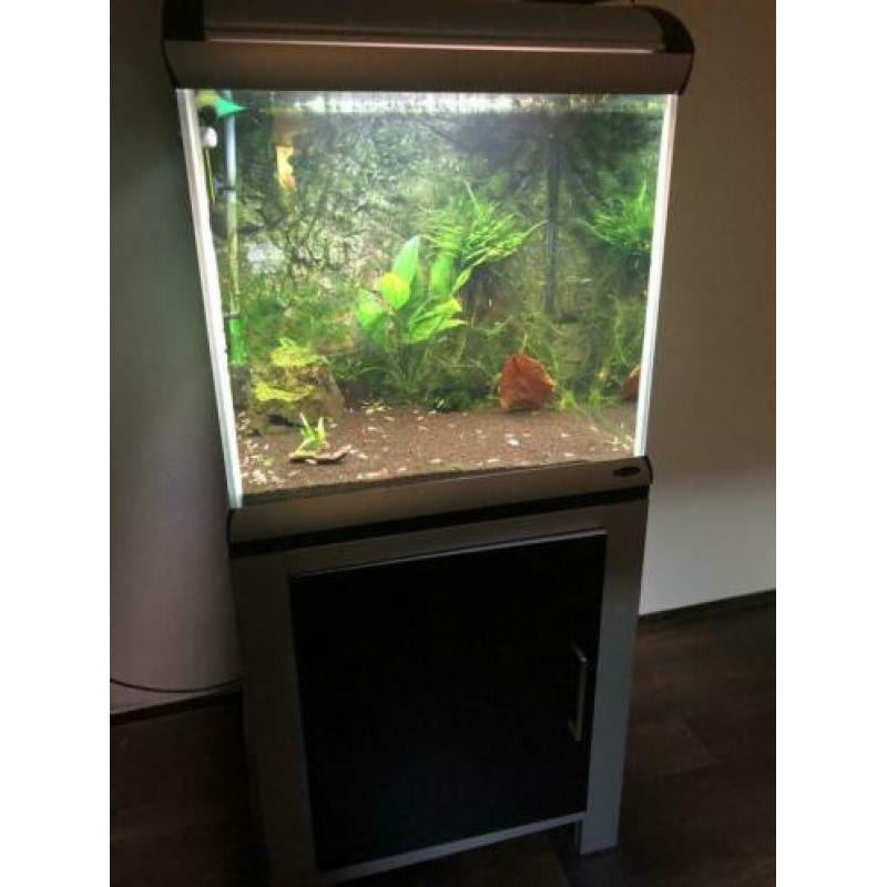 Aquarium ferplast star cube
