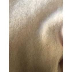 Cashmere licht roze - XS