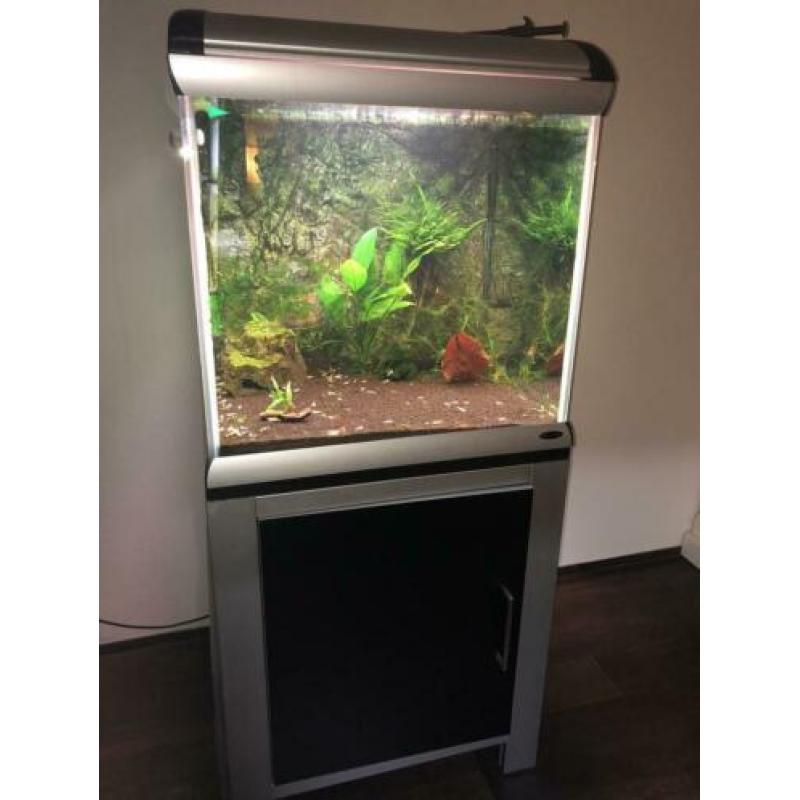 Aquarium ferplast star cube