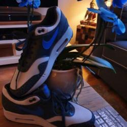 Nike am1 maat 43