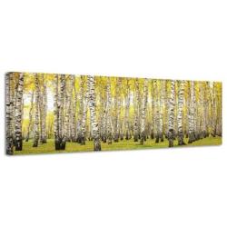 Diverse Canvas Panorama's - slechts EUR 49!