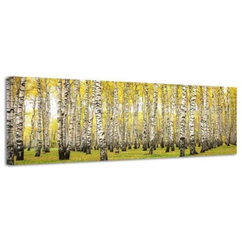 Diverse Canvas Panorama's - slechts EUR 49!
