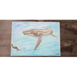 Tekening Bultrug en duiker.