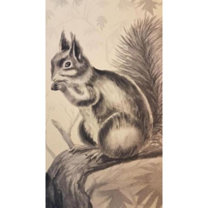 Tekening met aquarel en grafiet eekhoorn Aart Verwey 1966.