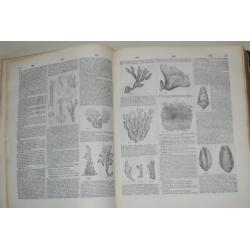 Franstalige encyclopedie in 2 delen natuur illustratie 1876
