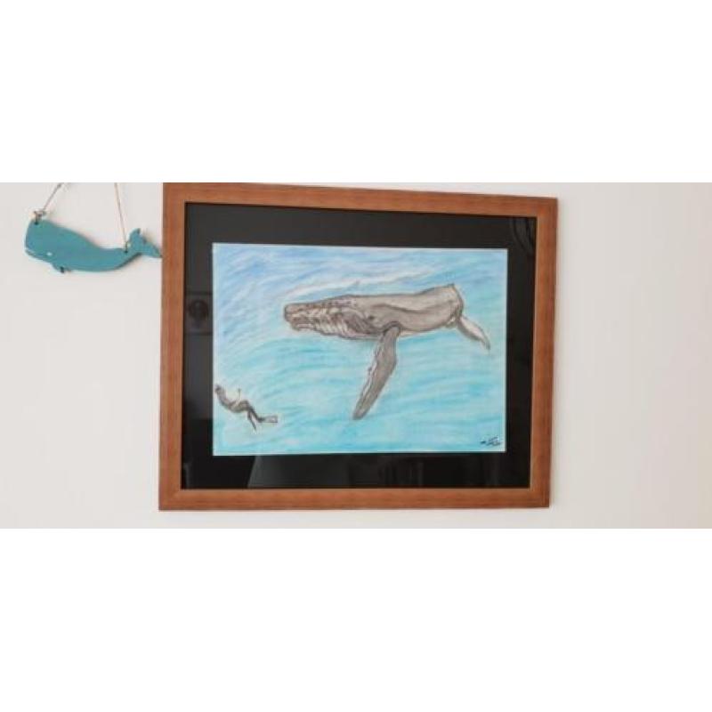Tekening Bultrug en duiker.