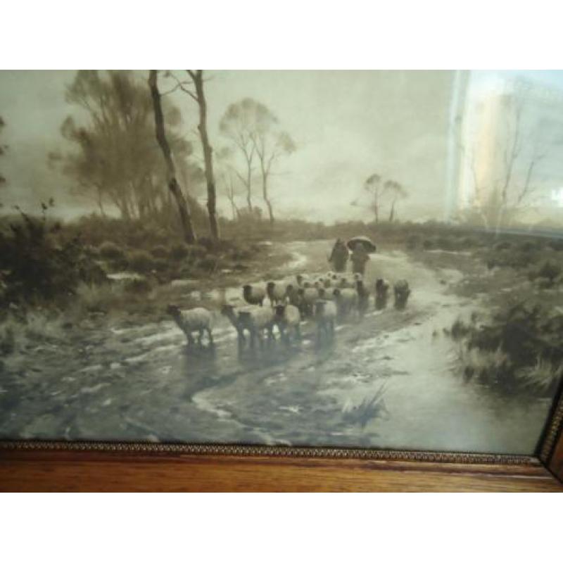 Heide schapen herders ect. +/- 1900
