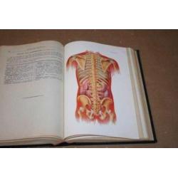 Populair Geneeskundige Encyclopaedie - Bles - 1e druk 1929 !