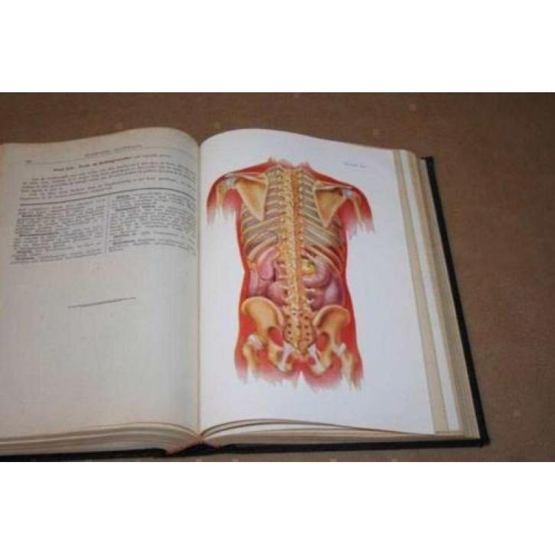 Populair Geneeskundige Encyclopaedie - Bles - 1e druk 1929 !