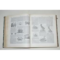 Franstalige encyclopedie in 2 delen natuur illustratie 1876
