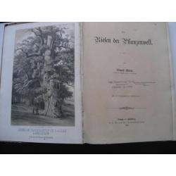 1863 - Die Riesen der Pflanzenwelt. Mit 16 lithografieën